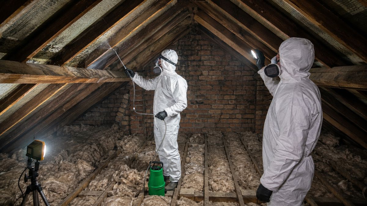 Mould Treatment in Stoke-on-Trent