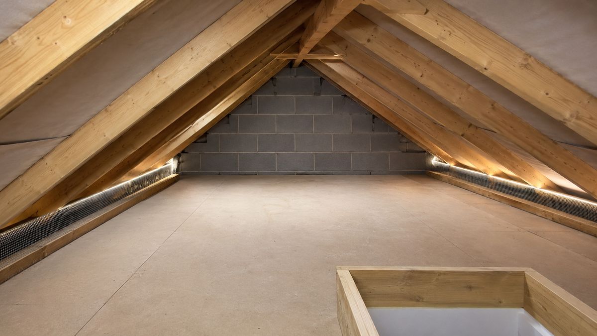 Rodent Proofing in Stoke-on-Trent
